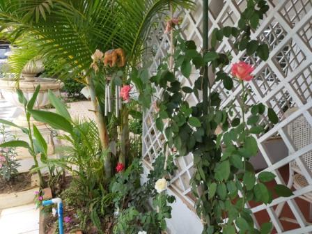 Les fleurs dans le jardin