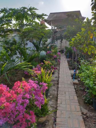 Crépuscule sur le jardin